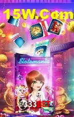Experiência VIP 333bet
